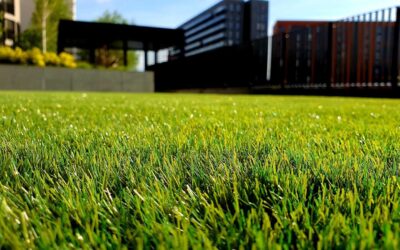 Beyond Aesthetics: Exploring the Environmental Benefits of Lawn Care Service
